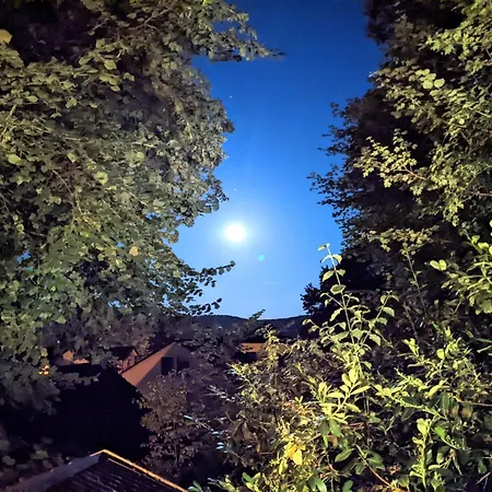 Haus Am Wald Radlerrast *