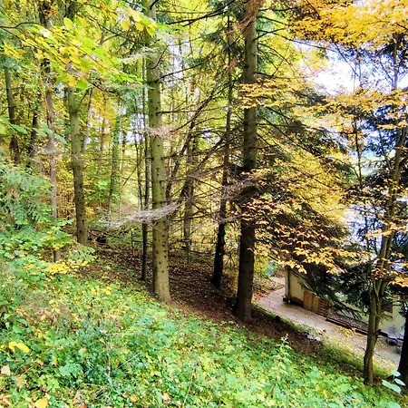Lejlighed Haus Am Wald Radlerrast Bad Sooden-Allendorf