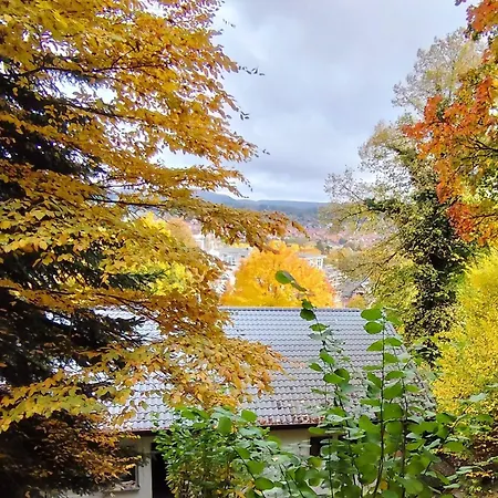 Haus Am Wald Radlerrast Lejlighed Bad Sooden-Allendorf