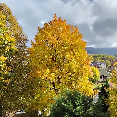 Haus Am Wald Radlerrast Lejlighed *