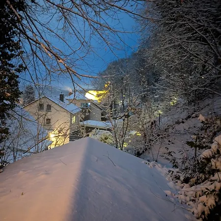 Lejlighed Haus Am Wald Radlerrast *