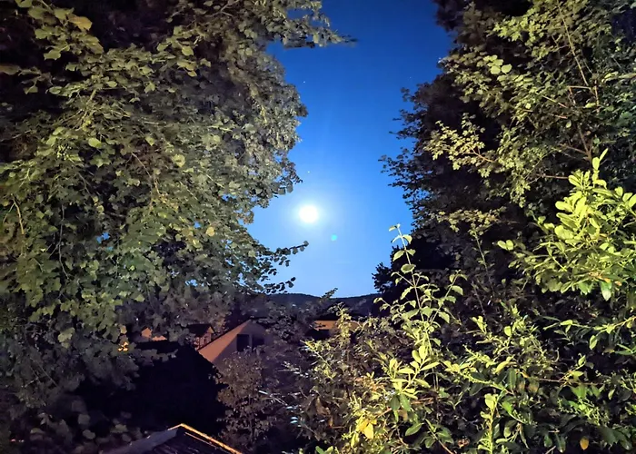 Haus Am Wald Radlerrast *